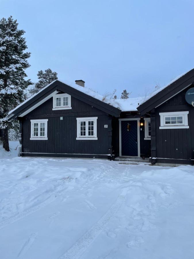 Hytte I Nydelige Jotunhemen - Rett Ved Besseggen Randsverk Экстерьер фото